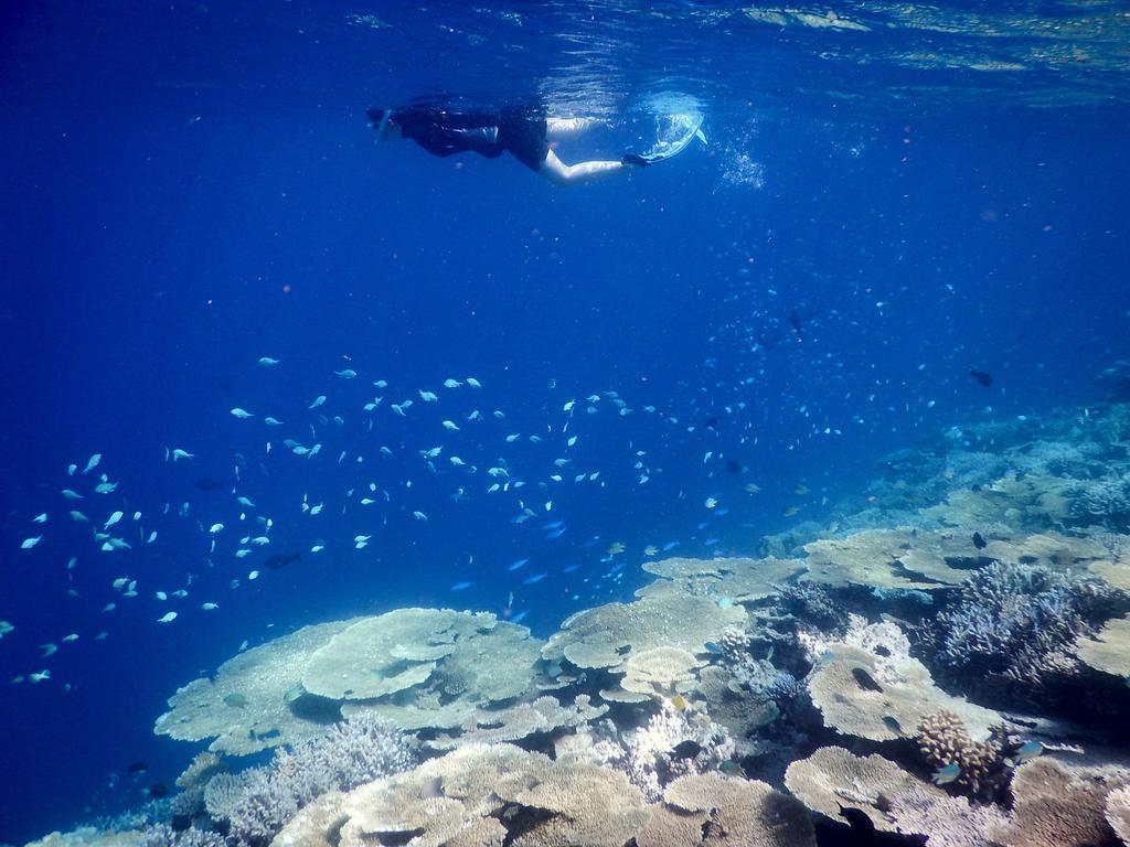 Dhivehi Experience Dhigurah (Alif Dhaal Atoll) Exterior foto