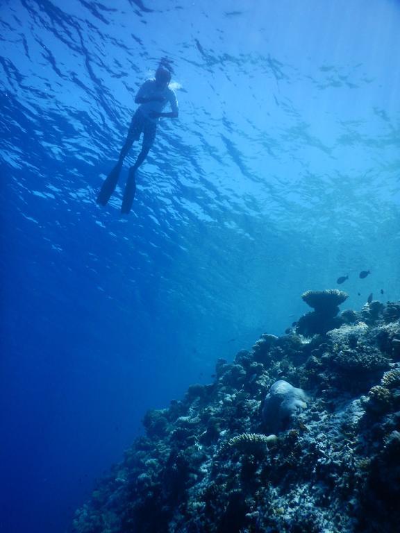 Dhivehi Experience Dhigurah (Alif Dhaal Atoll) Exterior foto